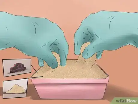 Image titled Grow Poppies Step 7