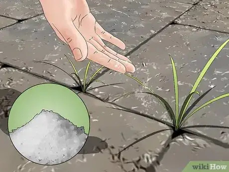 Image titled Control Lawn Weeds Step 4