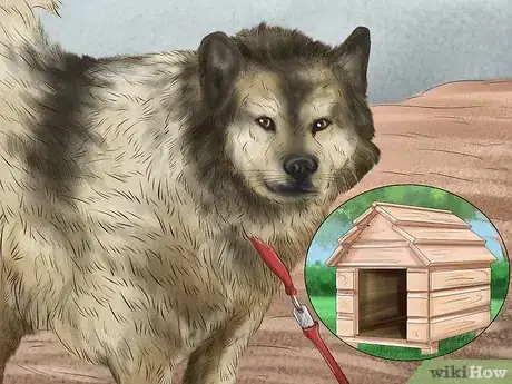 Image titled Care for Sled Dogs Step 10