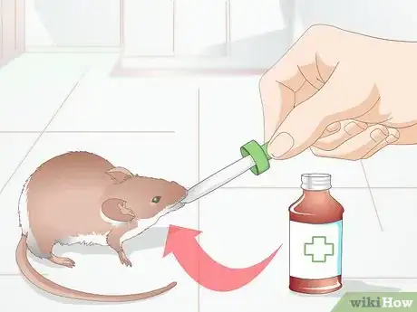 Image titled Stop Your Pet Mouse from Sneezing Step 5