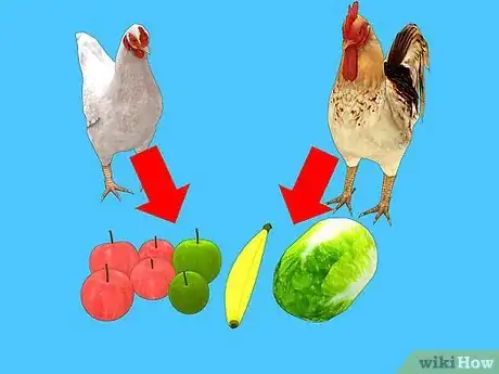 Image titled Feed Chickens Organically Step 1