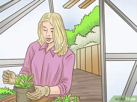 Image titled Work in a Greenhouse Step 6
