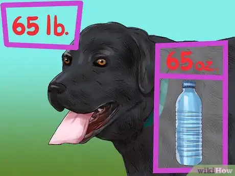 Image titled Be Prepared for Walking Your Dog Step 12