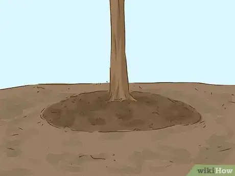 Image titled Choose Japanese Maple Trees Step 13