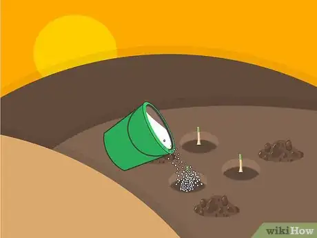 Image titled Grow Stargazer Lilies Step 10