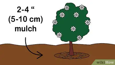 Image titled Care for a Gardenia Step 7