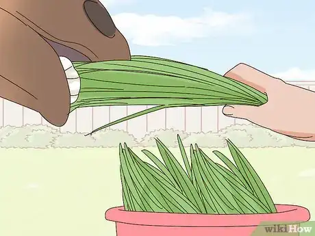 Image titled Feed a Horse Treats Step 6