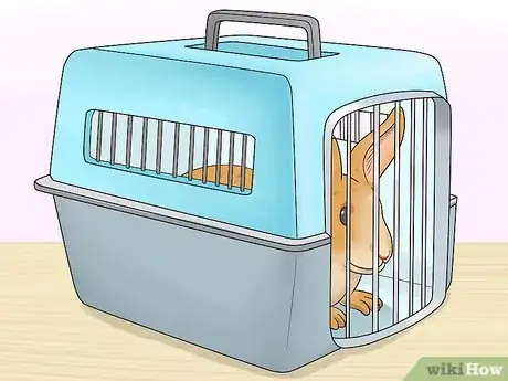 Image titled Keep Pets Safe During a Tornado Step 6