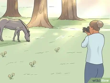 Image titled Take Good Photos of Nature Step 8