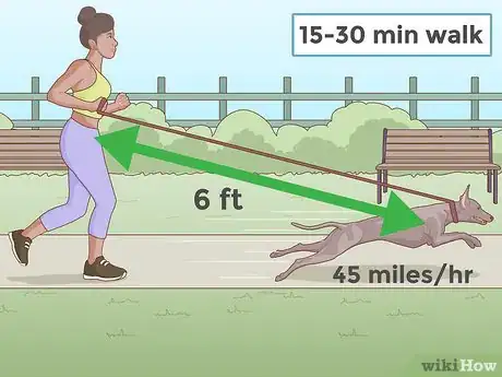 Image titled Train a Greyhound Step 10