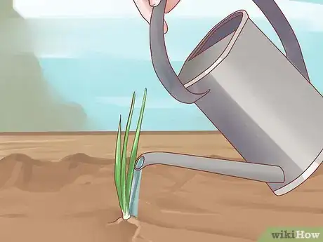 Image titled Grow Chives Step 13