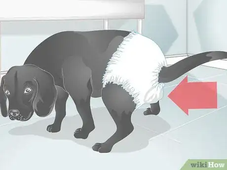 Image titled Buy Dog Diapers Step 7