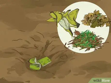 Image titled Choose Japanese Maple Trees Step 14