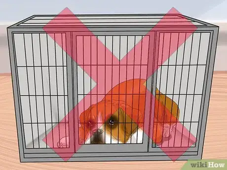 Image titled Buy a Dog Crate Step 17