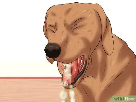 Image titled Treat Ascarids in Dogs Step 3