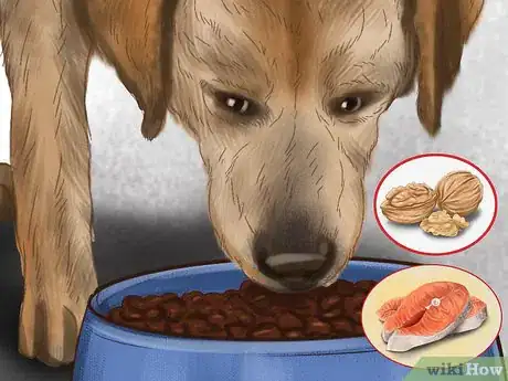 Image titled Care for Your Dog in the Winter Step 3