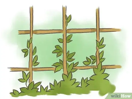 Image titled Grow Passion Fruit Step 16