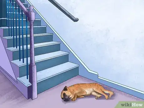 Image titled Deal with House Soiling in Older Dogs Step 14