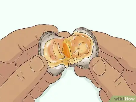 Image titled Cook Stuffed Clams Step 10