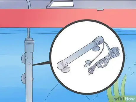 Image titled Make Your Fish Live Longer Step 2