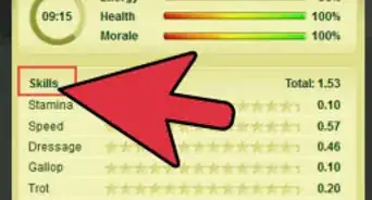 Sell Your Horse Quickly on Howrse