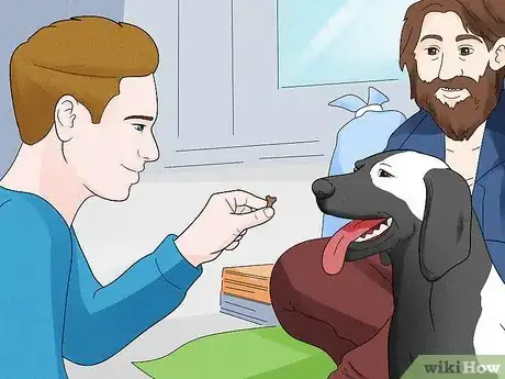 Image titled Help Homeless Animals Step 28