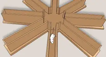 Train a Rat to Run a Maze or Obstacle Course