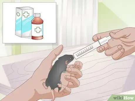 Image titled Treat Pinworms in Mice Step 2