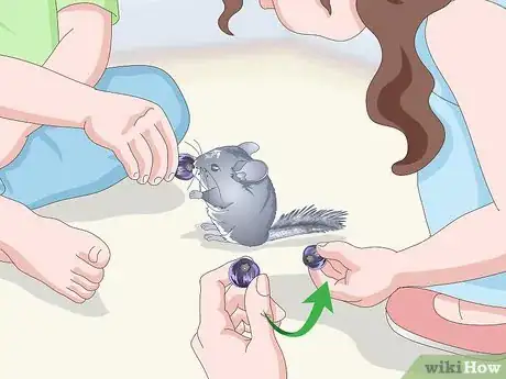 Image titled Keep Chinchillas Safe Around Children Step 10