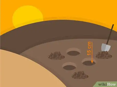 Image titled Grow Stargazer Lilies Step 07