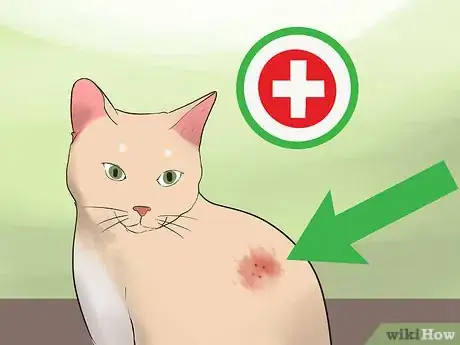 Image titled Calm an Aggressive Cat Step 7