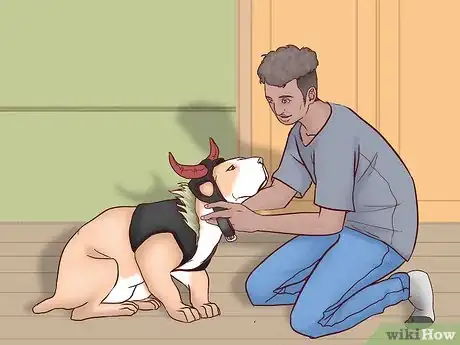 Image titled Keep Your Dog Safe on Halloween Step 8