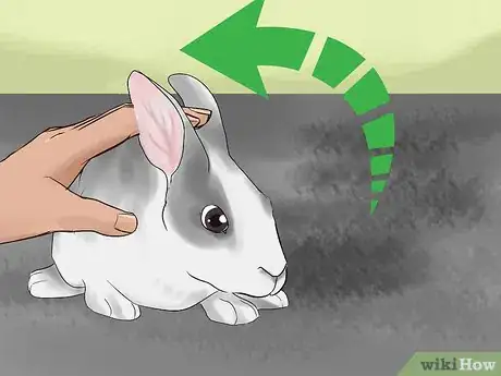 Image titled Select a Show Rabbit Step 10