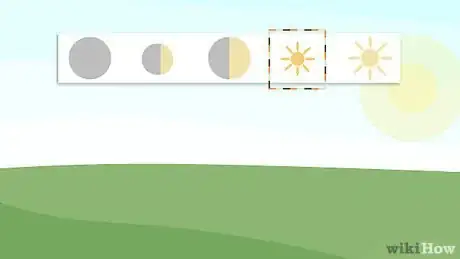 Image titled Grow Birch Trees Step 15