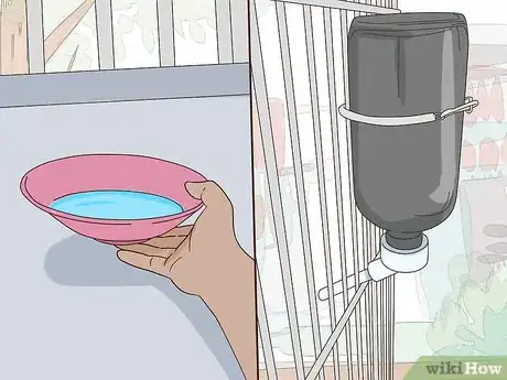 Image titled Set Up an Eclectus Habitat Step 9