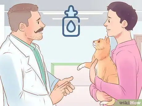 Image titled Give Selamectin to Cats with Parasites Step 11