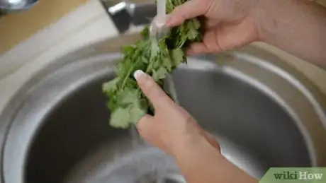 Image titled Dry Cilantro Step 7