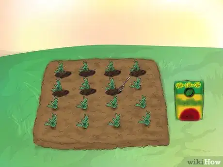 Image titled Grow Ice Plants Step 15