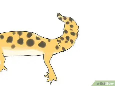 Image titled Choose a Leopard Gecko Step 1