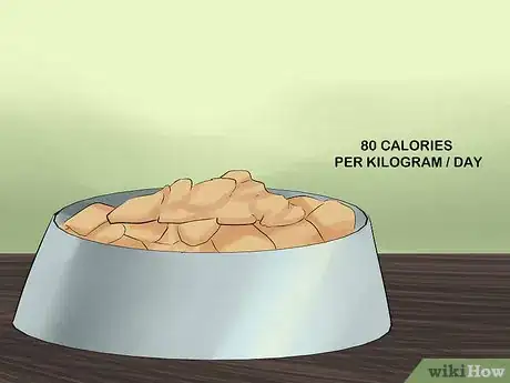 Image titled Take Care of a Japanese Bobtail Step 5