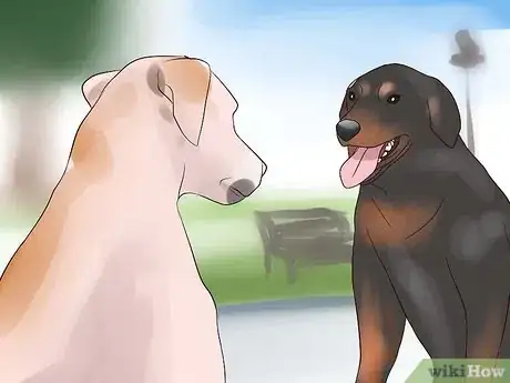 Image titled Get Used to Dogs Step 10