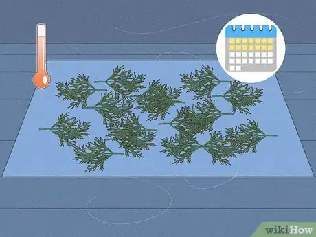 Image titled Harvest Dill Step 8