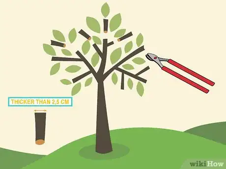 Image titled Prune an Avocado Tree Step 02