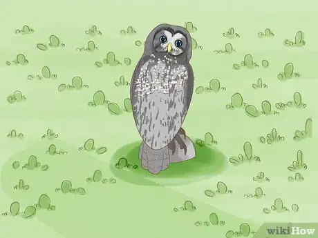 Image titled Protect Your Garden from Birds Step 7