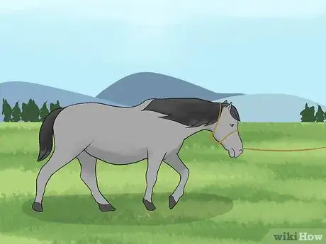 Image titled Create a Disaster Preparedness Plan for Your Horse Step 14