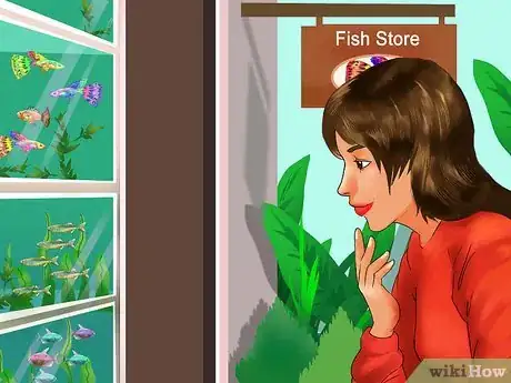 Image titled Choose Fish for a Freshwater Aquarium Step 7