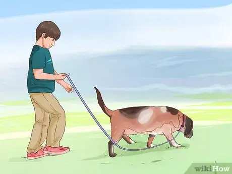 Image titled Walk a Big Dog As a Kid Step 3