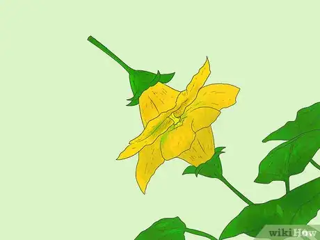 Image titled Cross Pollinate Different Vegetables to Create Hybrids Step 7