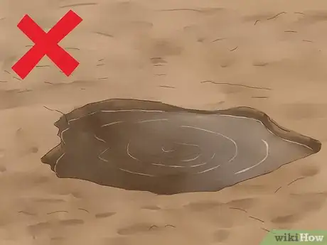 Image titled Plant Easter Lilies Step 3