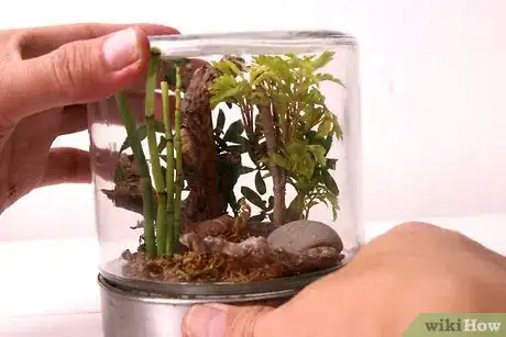 Image titled Design a Terrarium from a Glass Jar Step 11